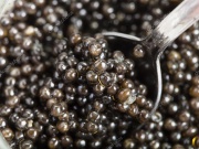 Black sturgeon caviar, 250g